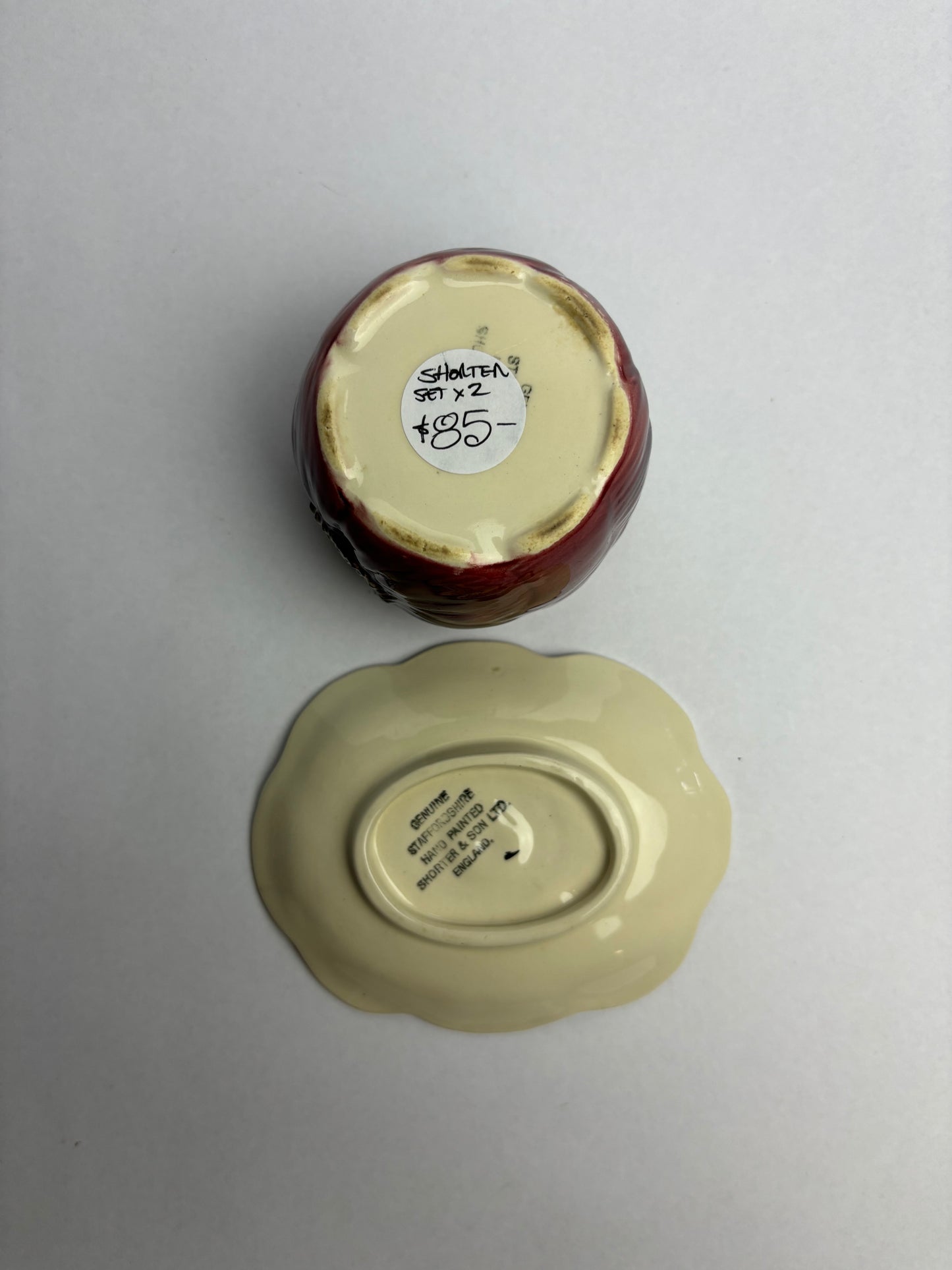 Anemone Majolica Pot & Saucer by Shorter & Son