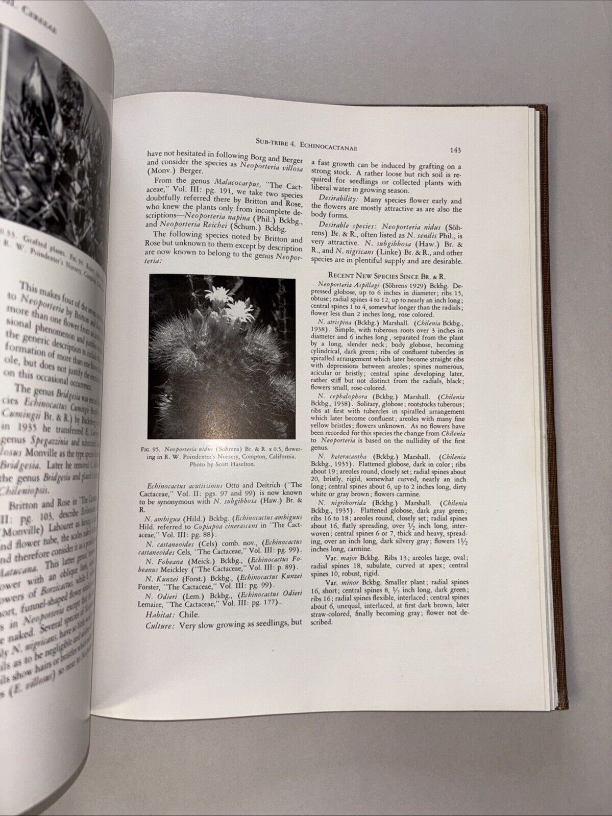 Cactaceae by Marshall & Bock – 1st Edition, Theophrastus 1941 Hardcover
