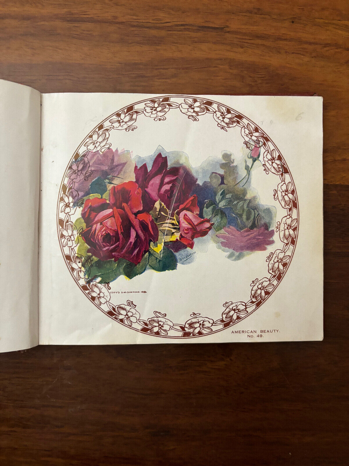 55 FULL COLOR DESIGNS PAINTED BY DM CAMPANA