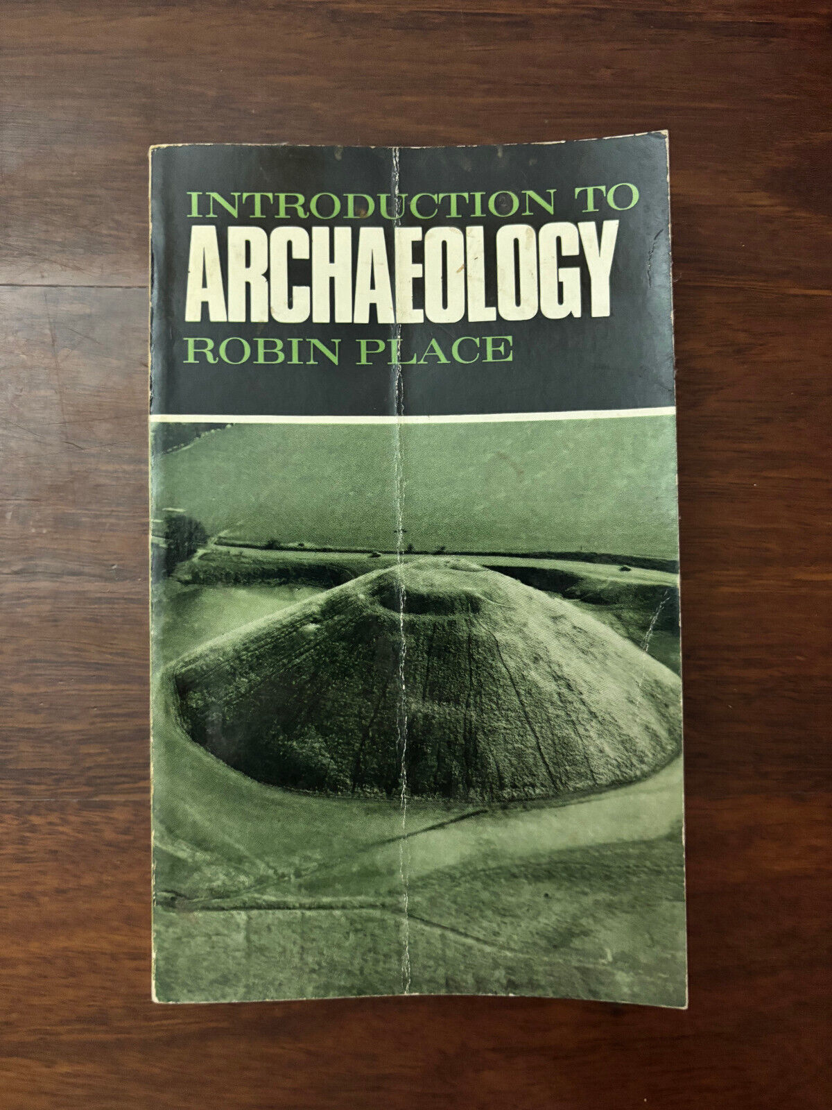 Introduction to Archaeology by Robin Place (Paperback, 1968)