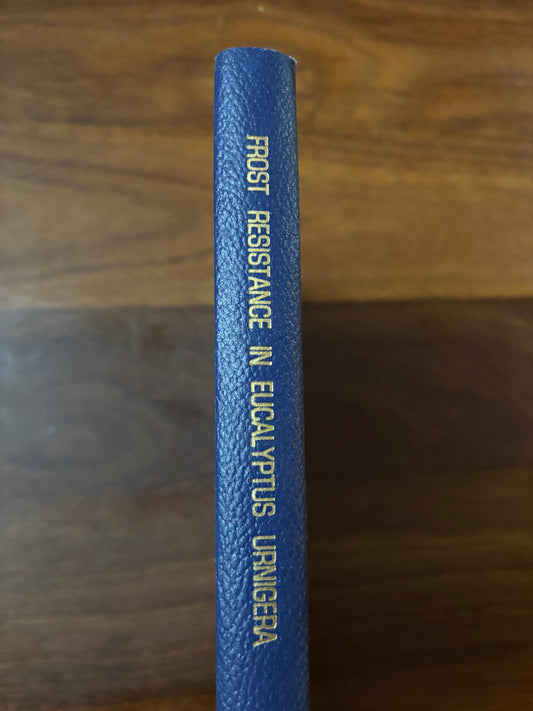 44692229