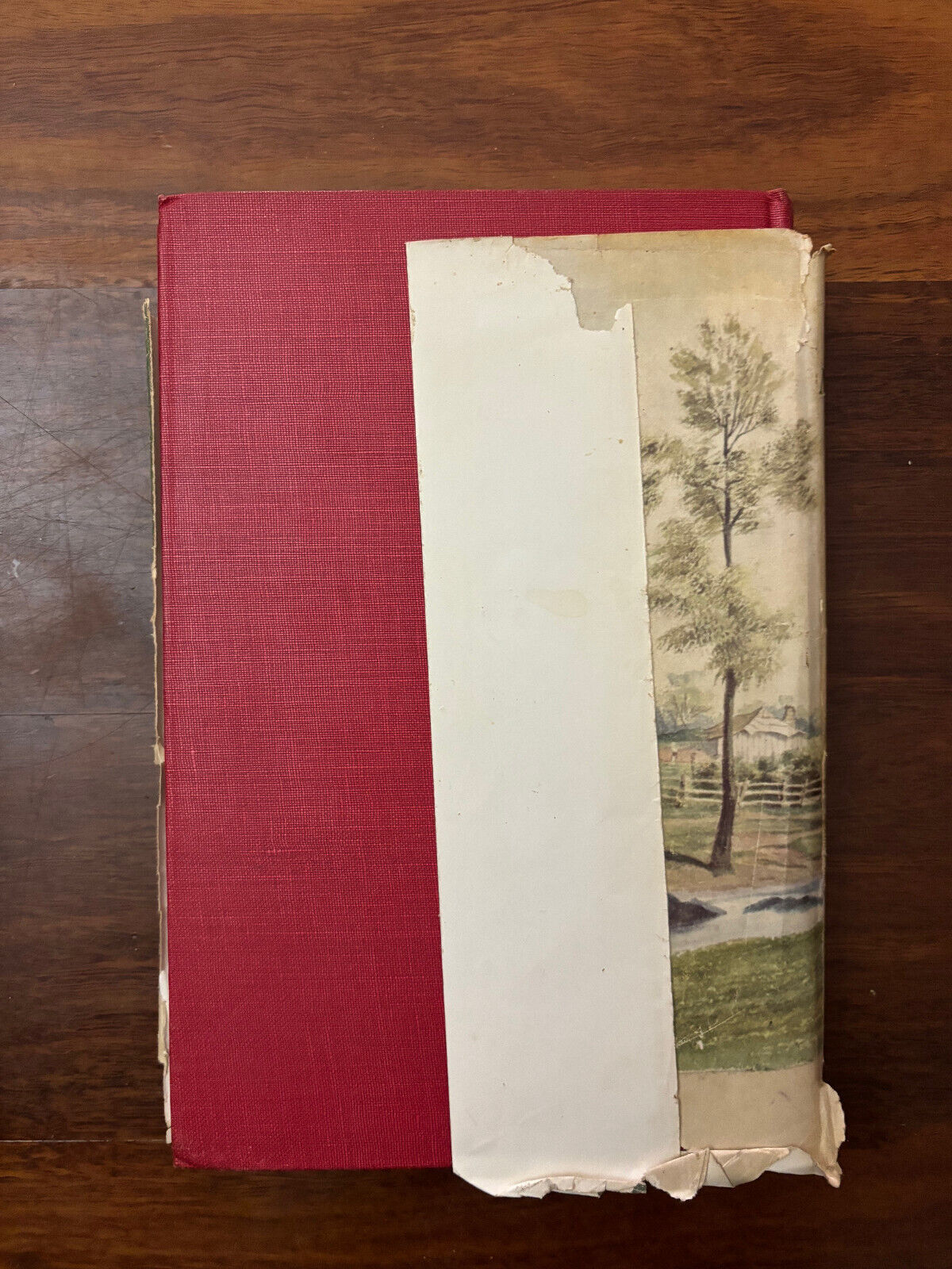 Mary of Maranoa: Tales of Australian Pioneer Women by Eve Pownall (1959) 1st Ed