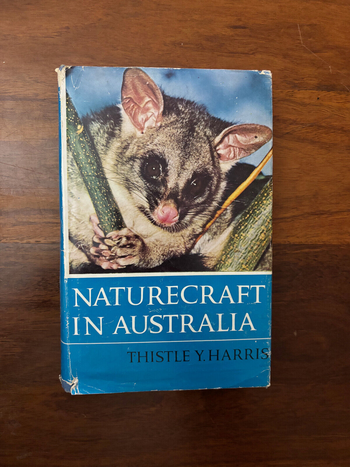 NATURECRAFT IN AUSTRALIA by THISTLE Y HARRIS 1st edition