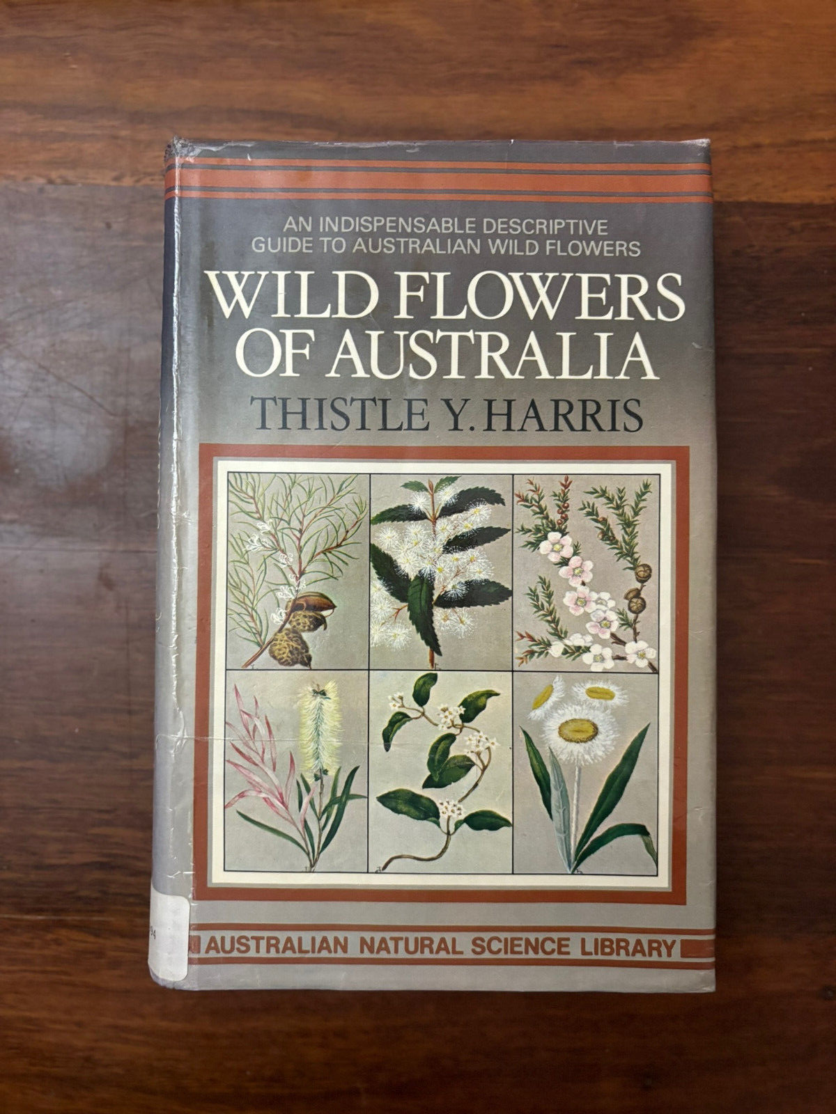 Wildflowers Of Australia By Thistle Y Harris