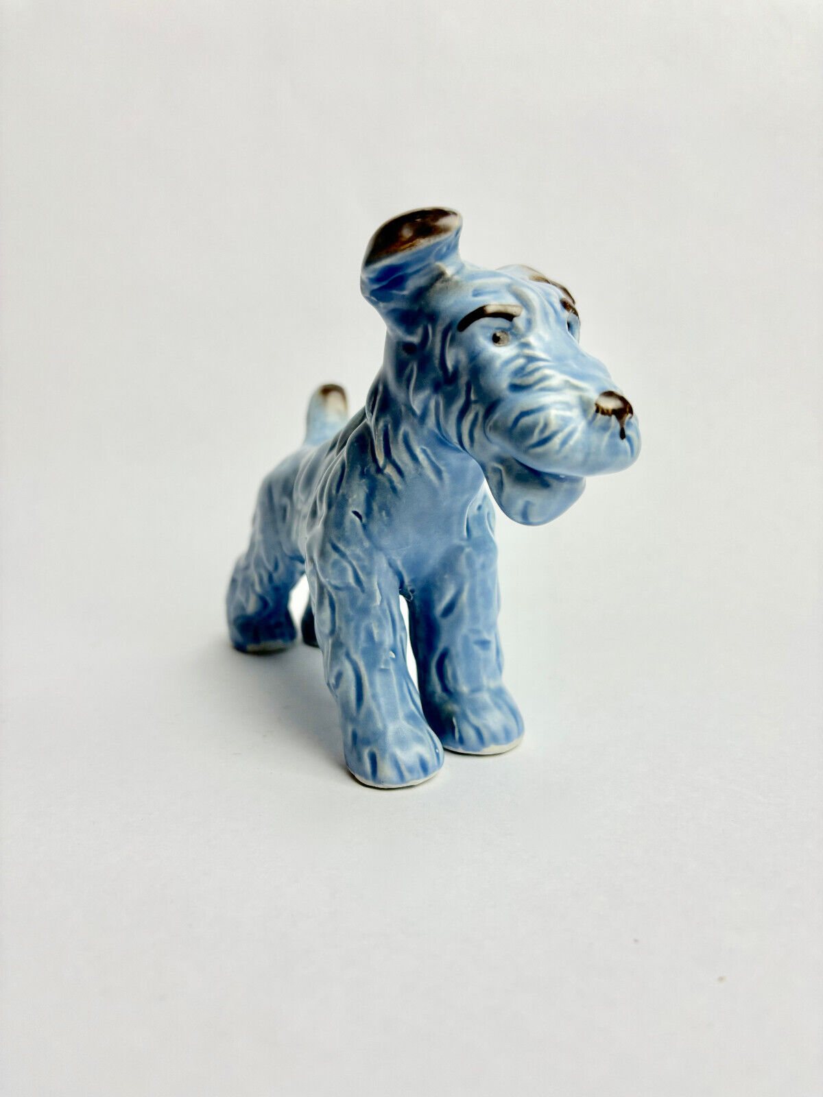 Rare Blue SylvaC Dog