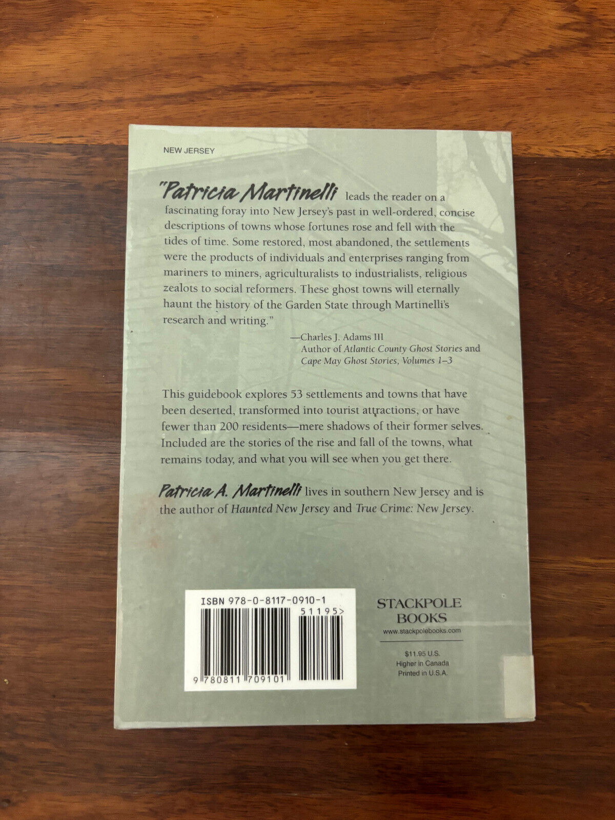 New Jersey Ghost Towns: Uncovering the Hidden Past by Patricia A. Martinelli (En