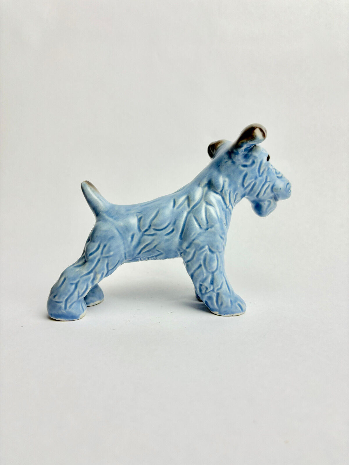 Rare Blue SylvaC Dog