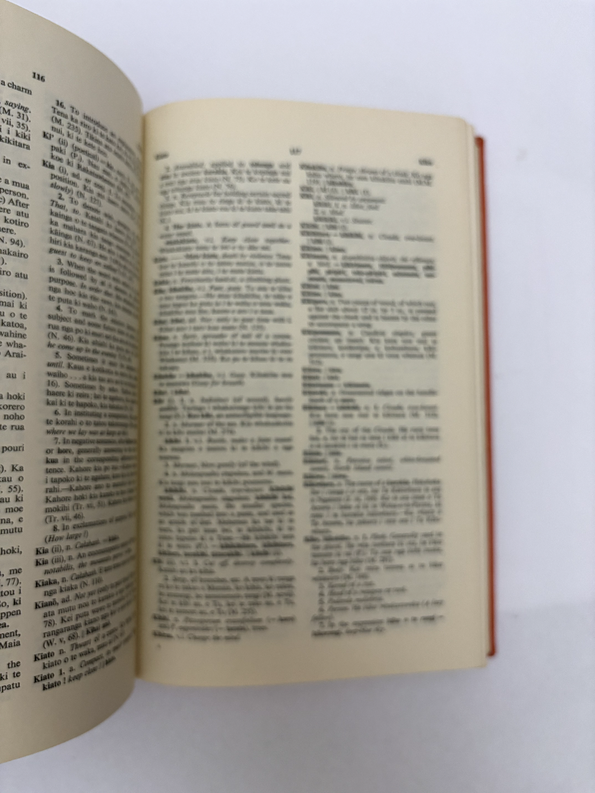 A Dictionary Of The Maori Language by Williams 1971