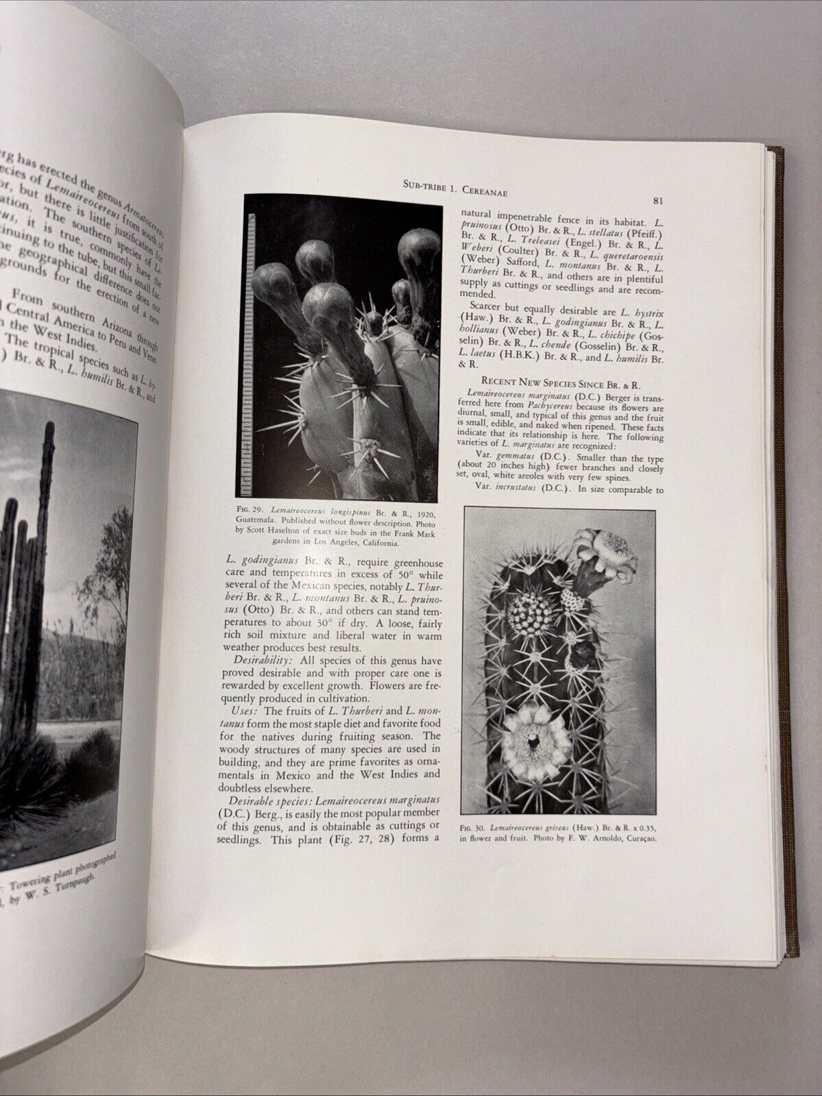 Cactaceae by Marshall & Bock – 1st Edition, Theophrastus 1941 Hardcover