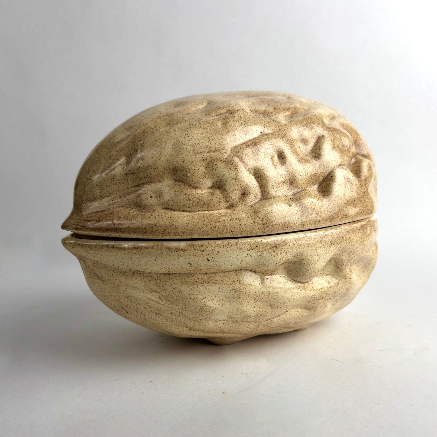 Large Ceramic Nut Shell