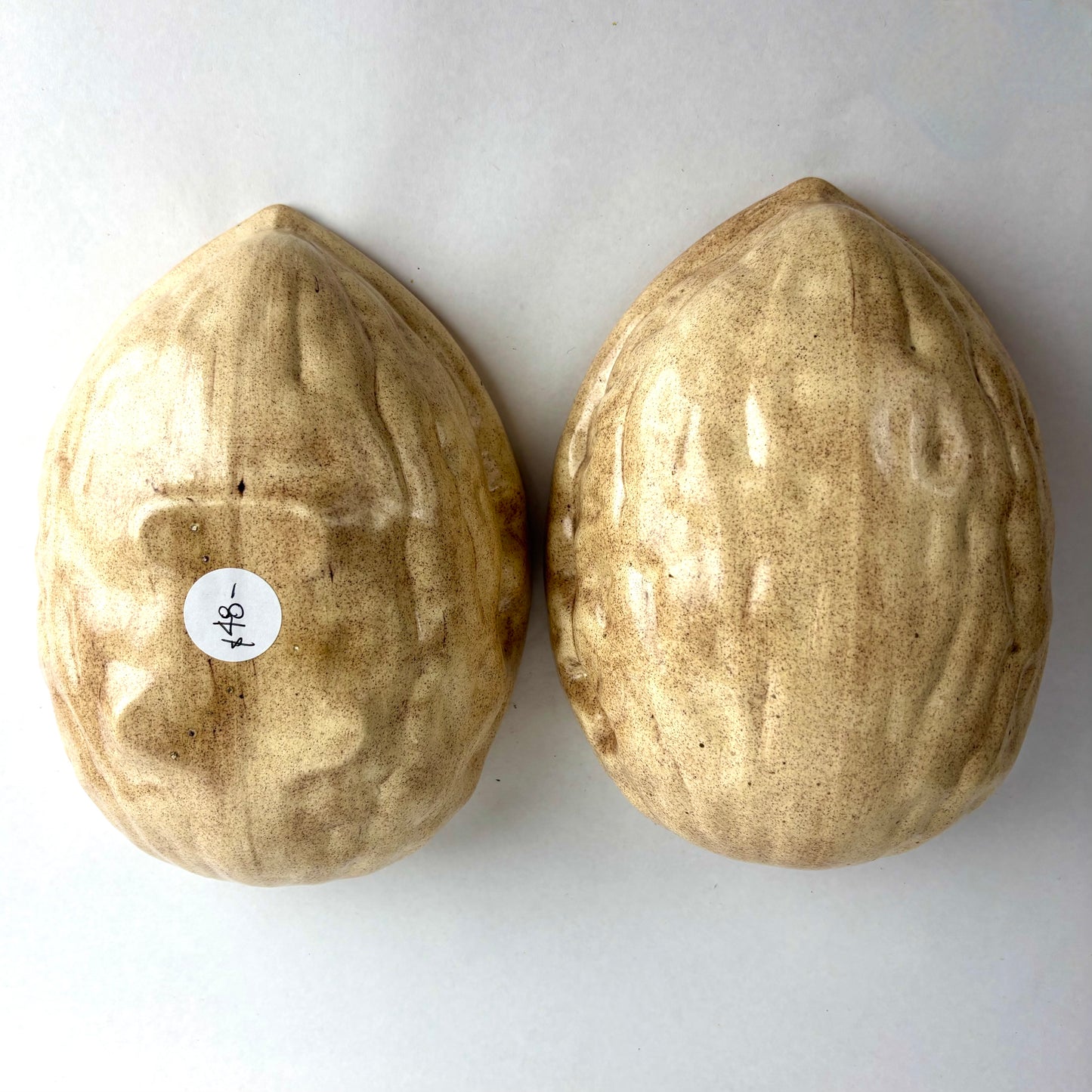 Large Ceramic Nut Shell