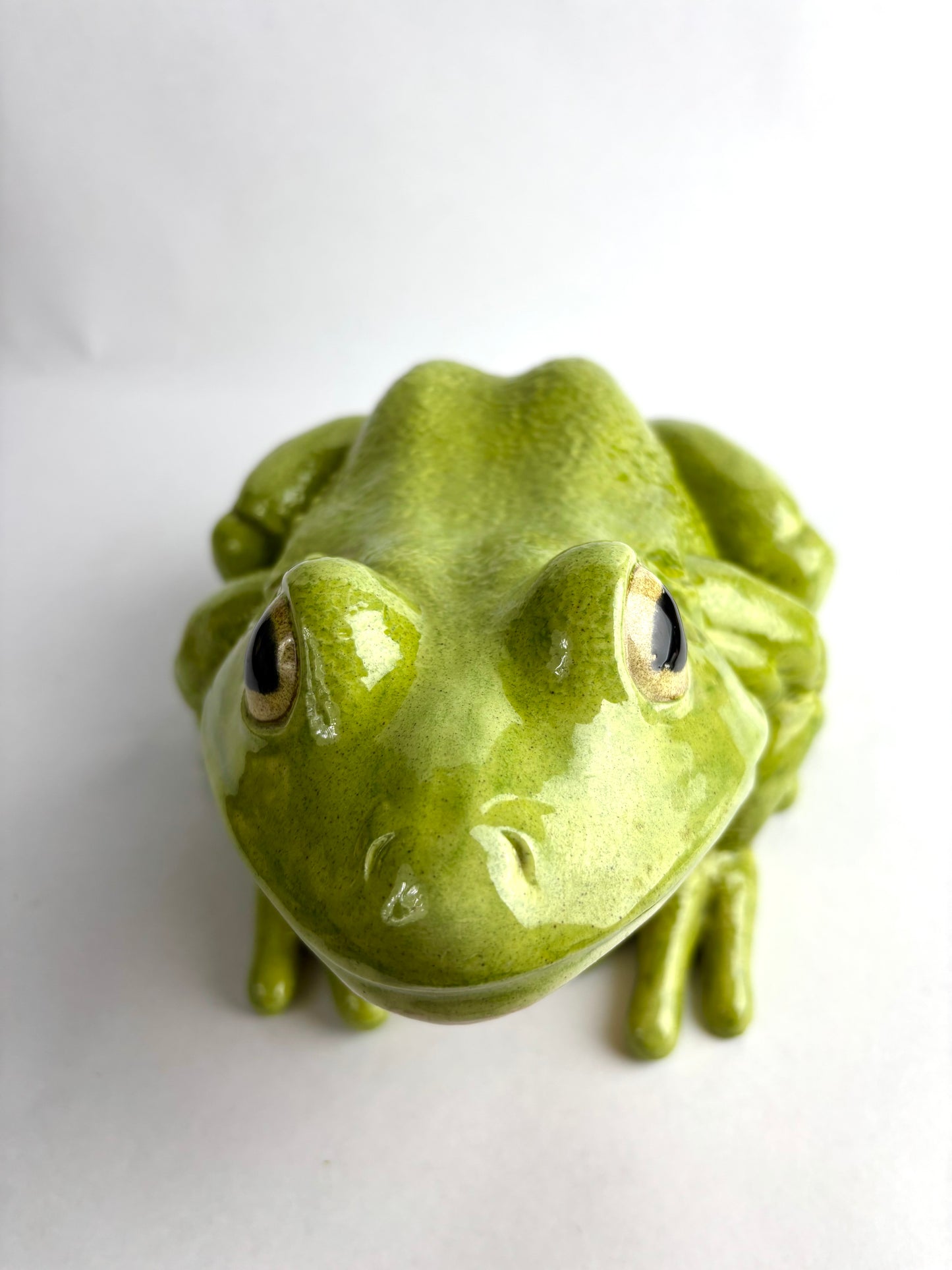 Large Ceramic Frog