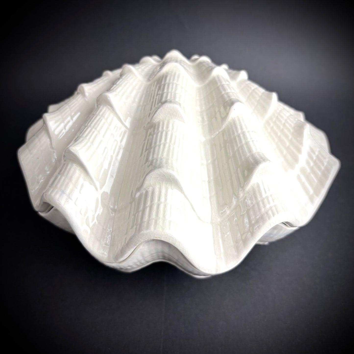 Large ceramic lidded clam shell