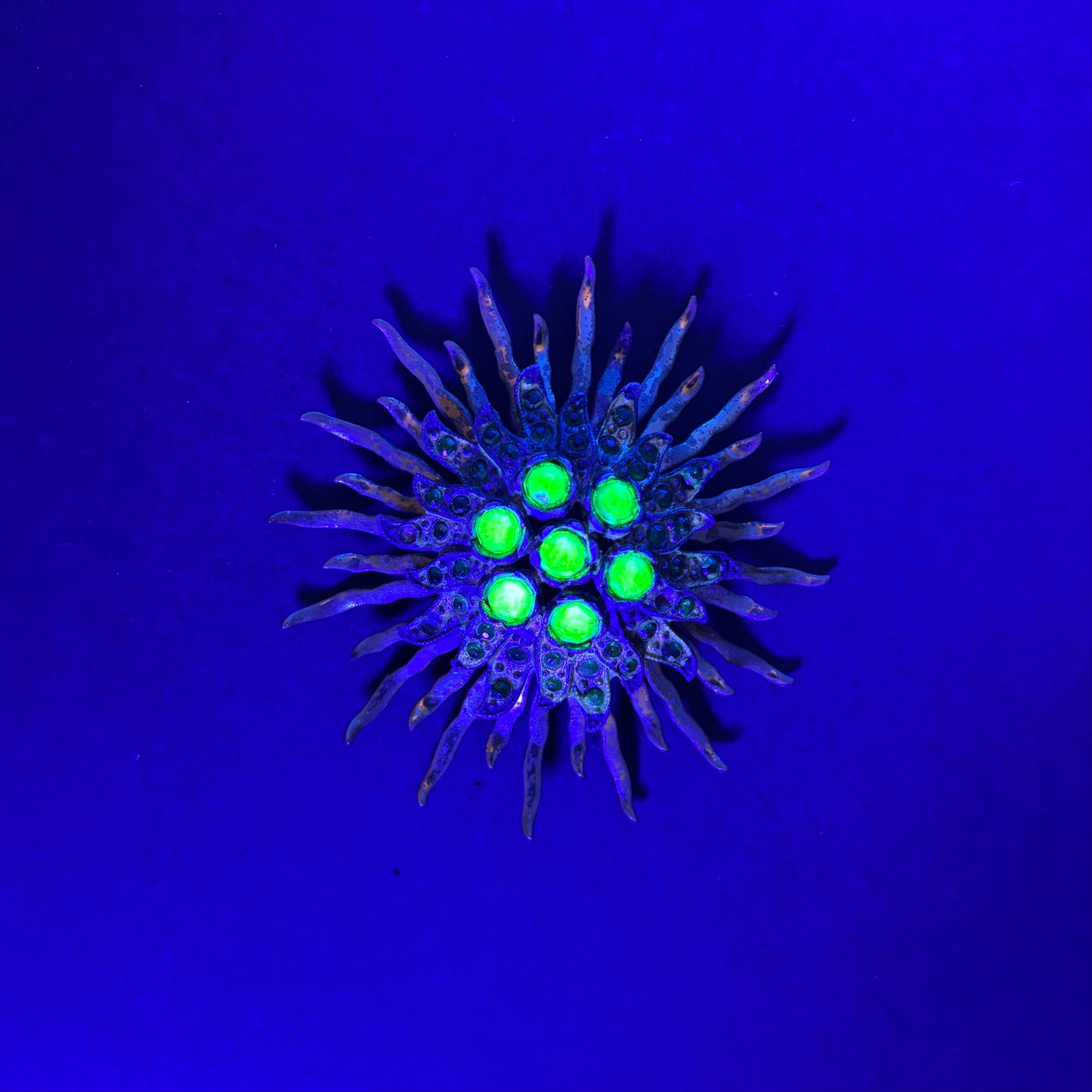Vintage Atomic Starburst Brooch with Green Rhinestones & UV Glow