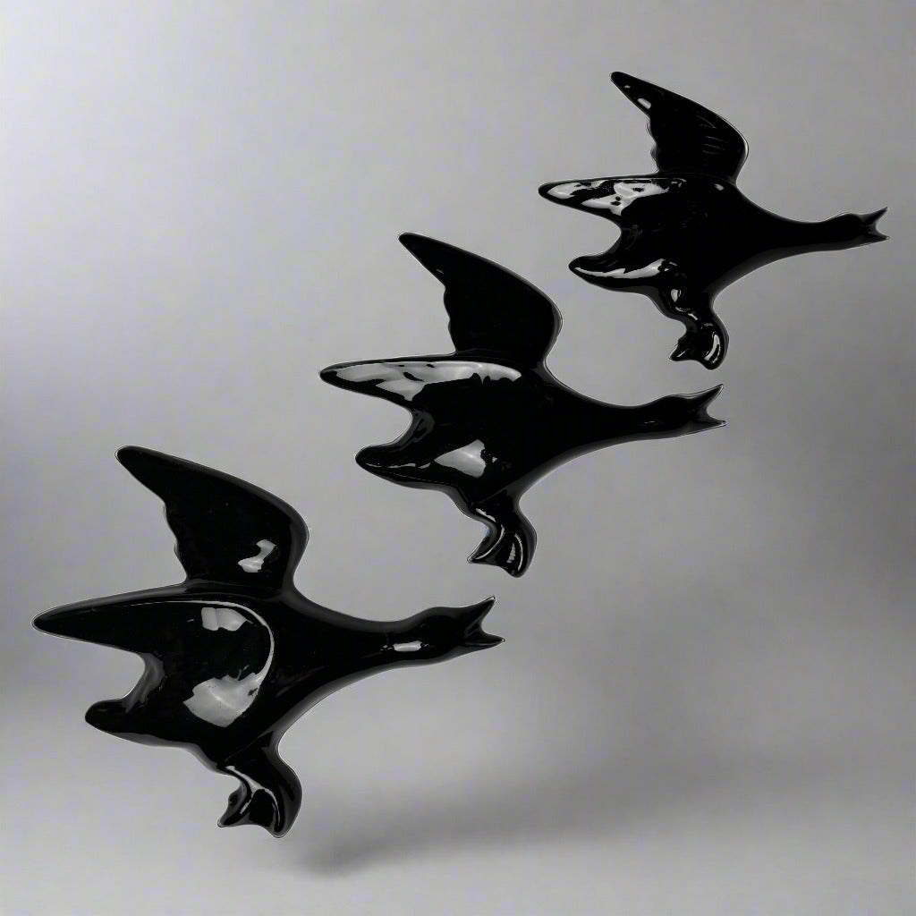 Flight of black wall ducks by Robert Gordon