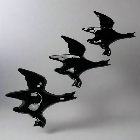 Flight of black wall ducks by Robert Gordon