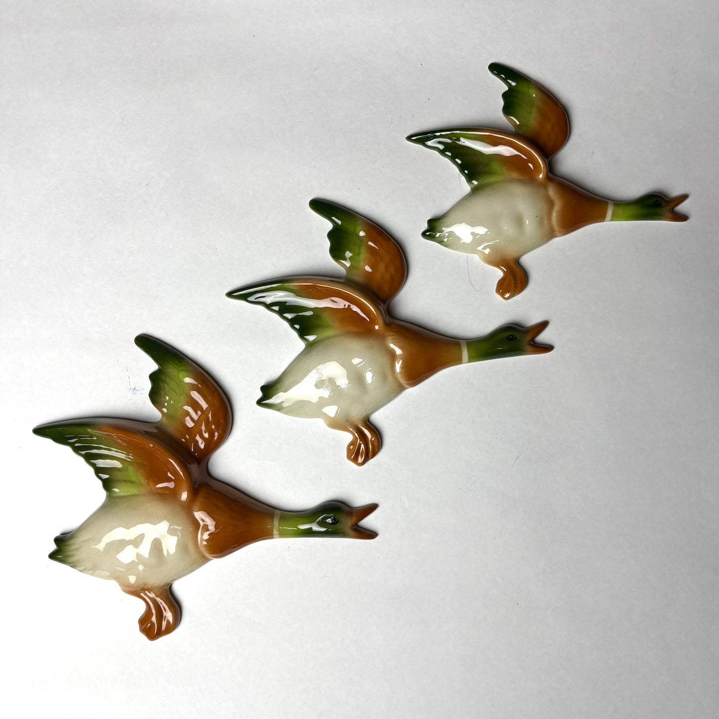 Flight of English wall ducks