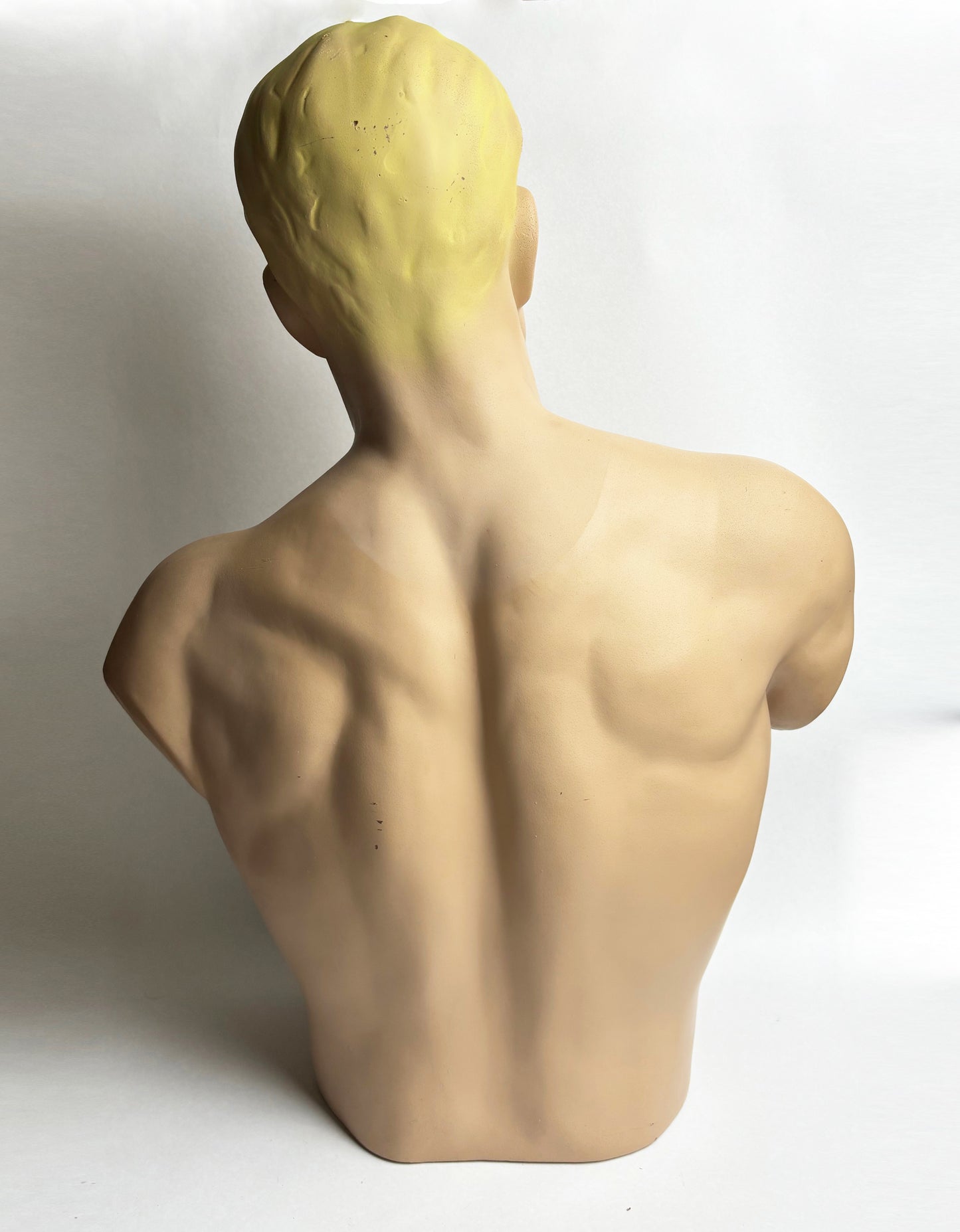 Chesty Bonds Shop Display Bust (63cm)