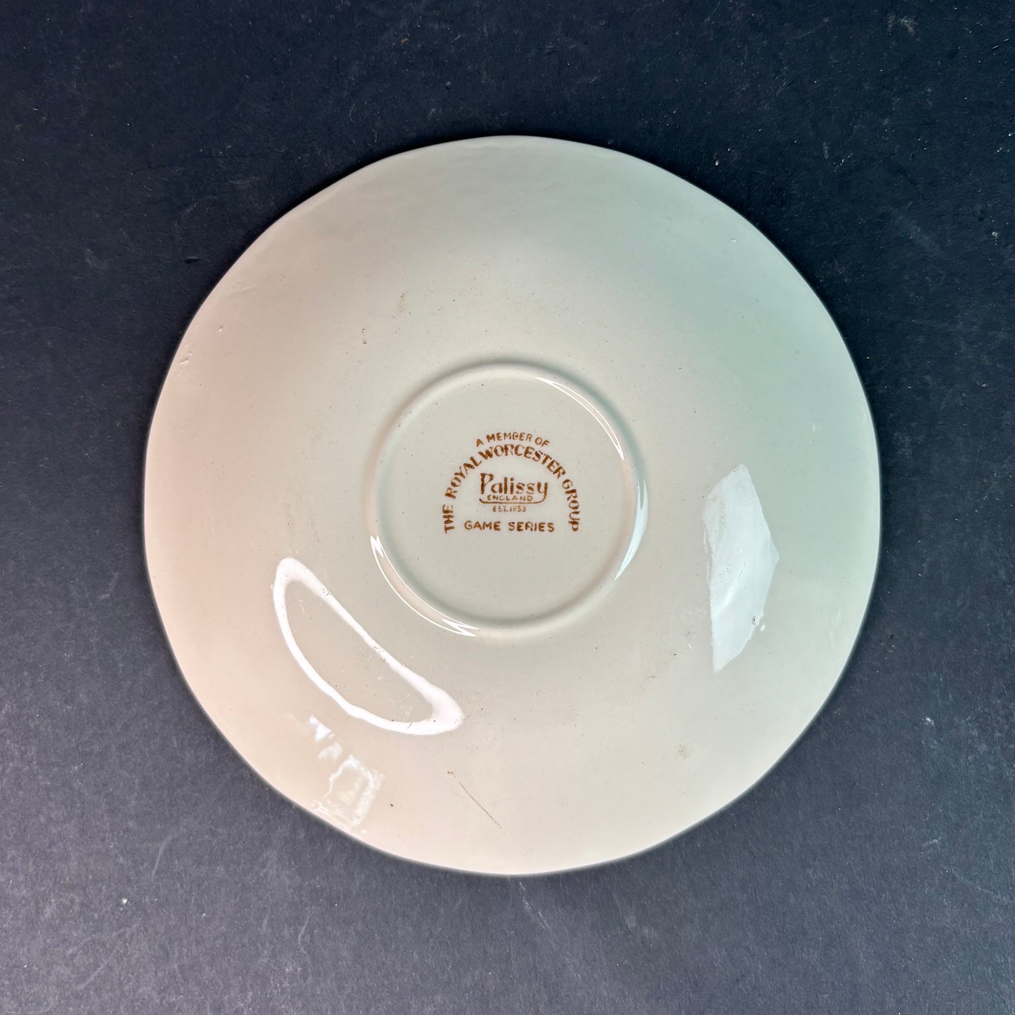 Royal Worcester Palissy “Game Series” Cup & Saucer – Pheasant & Snipe – England
