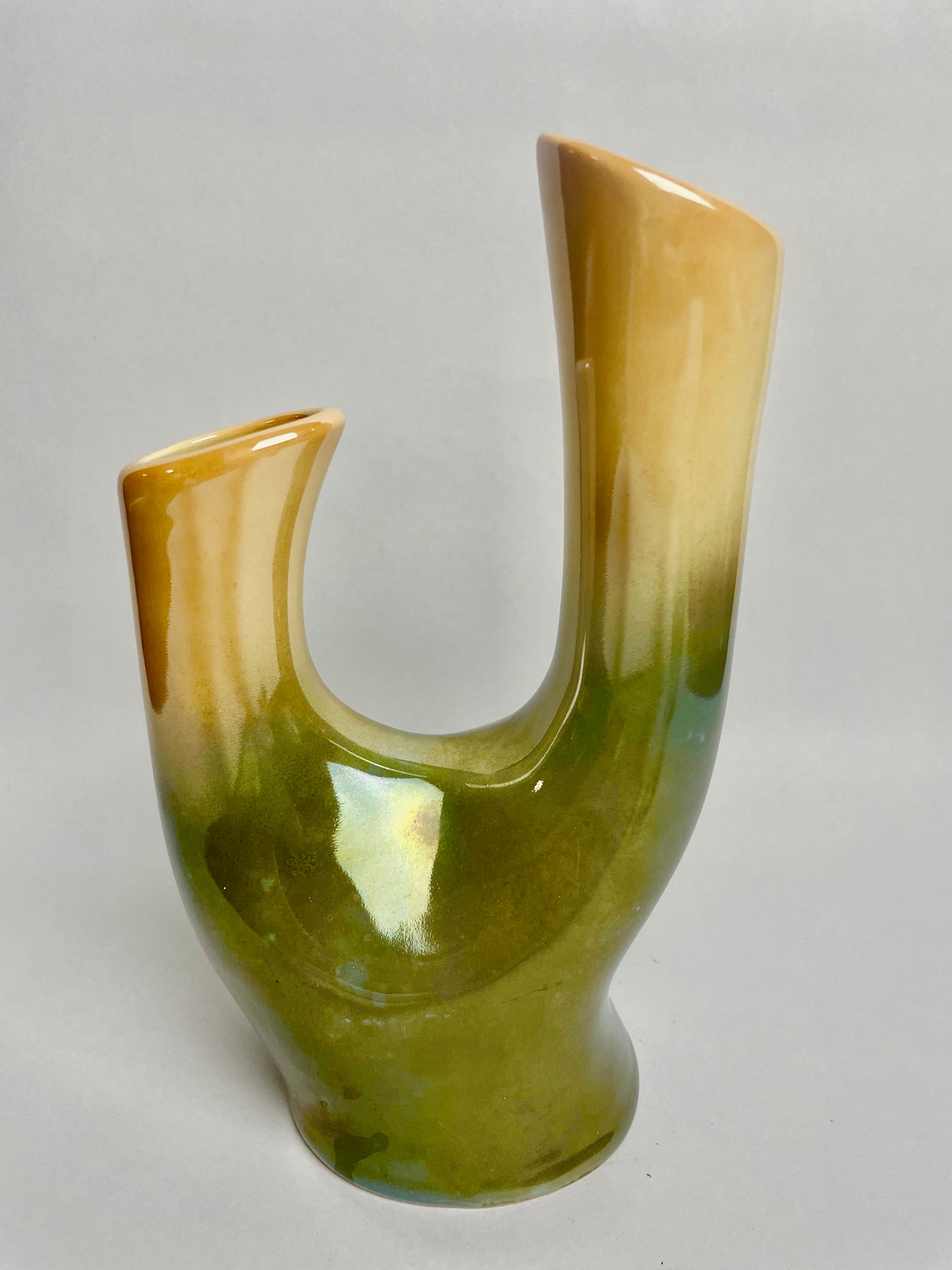 Wembley Ware branch lustre vase