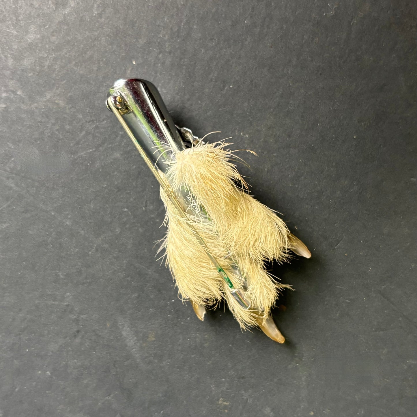 Vintage Scottish Grouse Foot Brooch – Taxidermy Pin