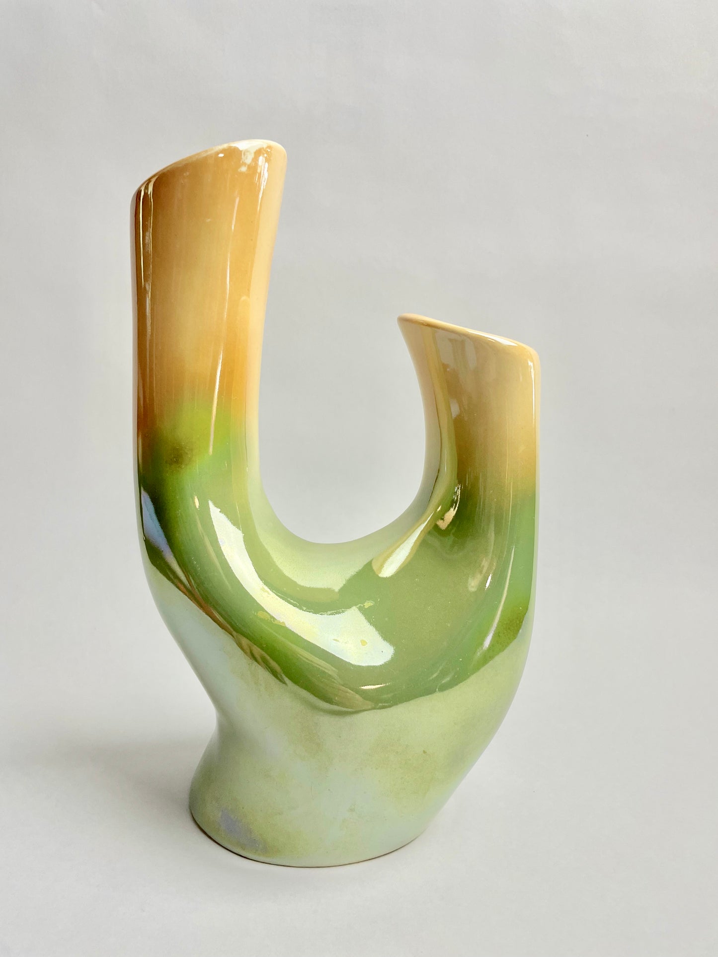Copy of Wembley Ware branch lustre vase