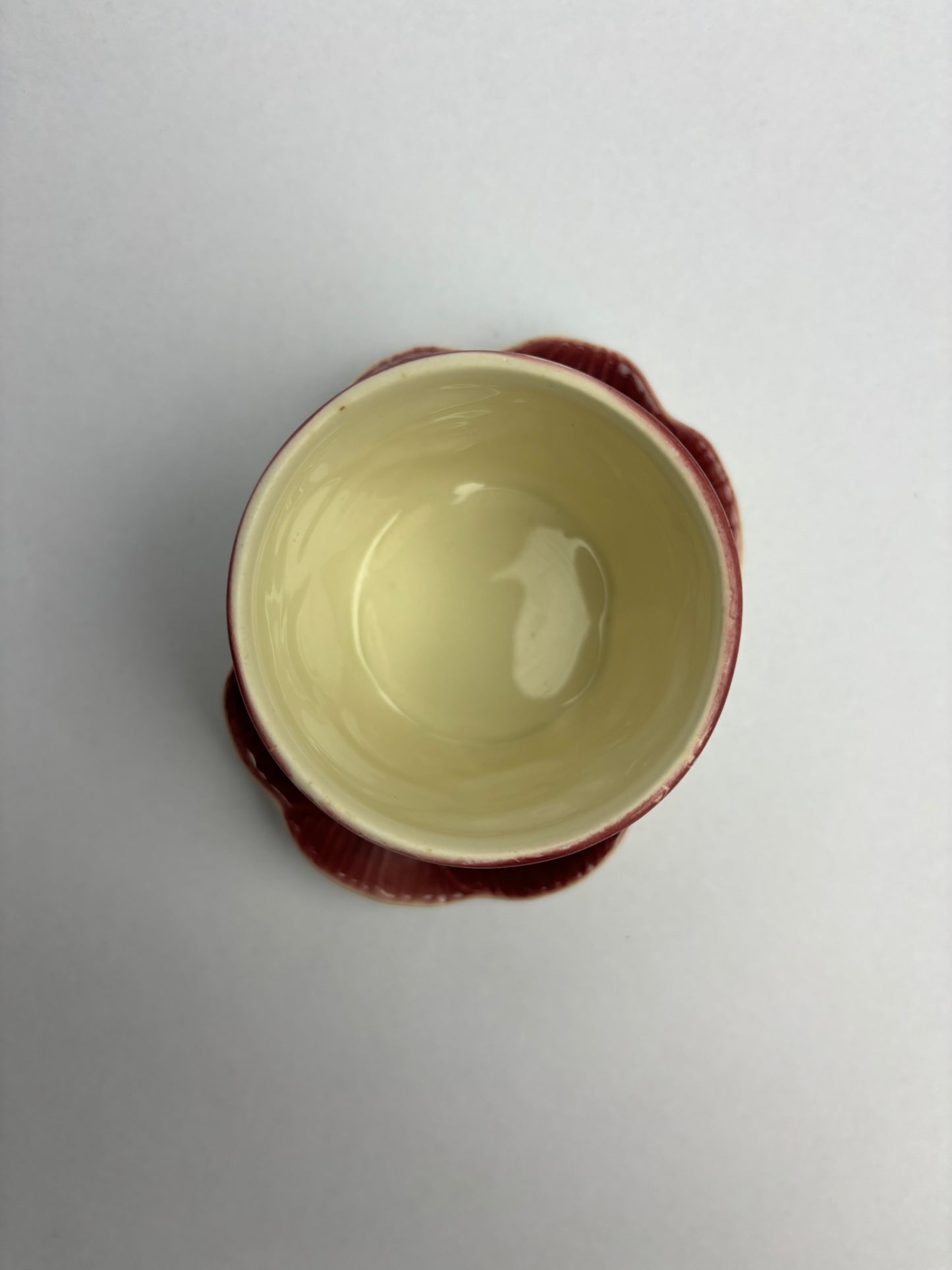 Anemone Majolica Pot & Saucer by Shorter & Son