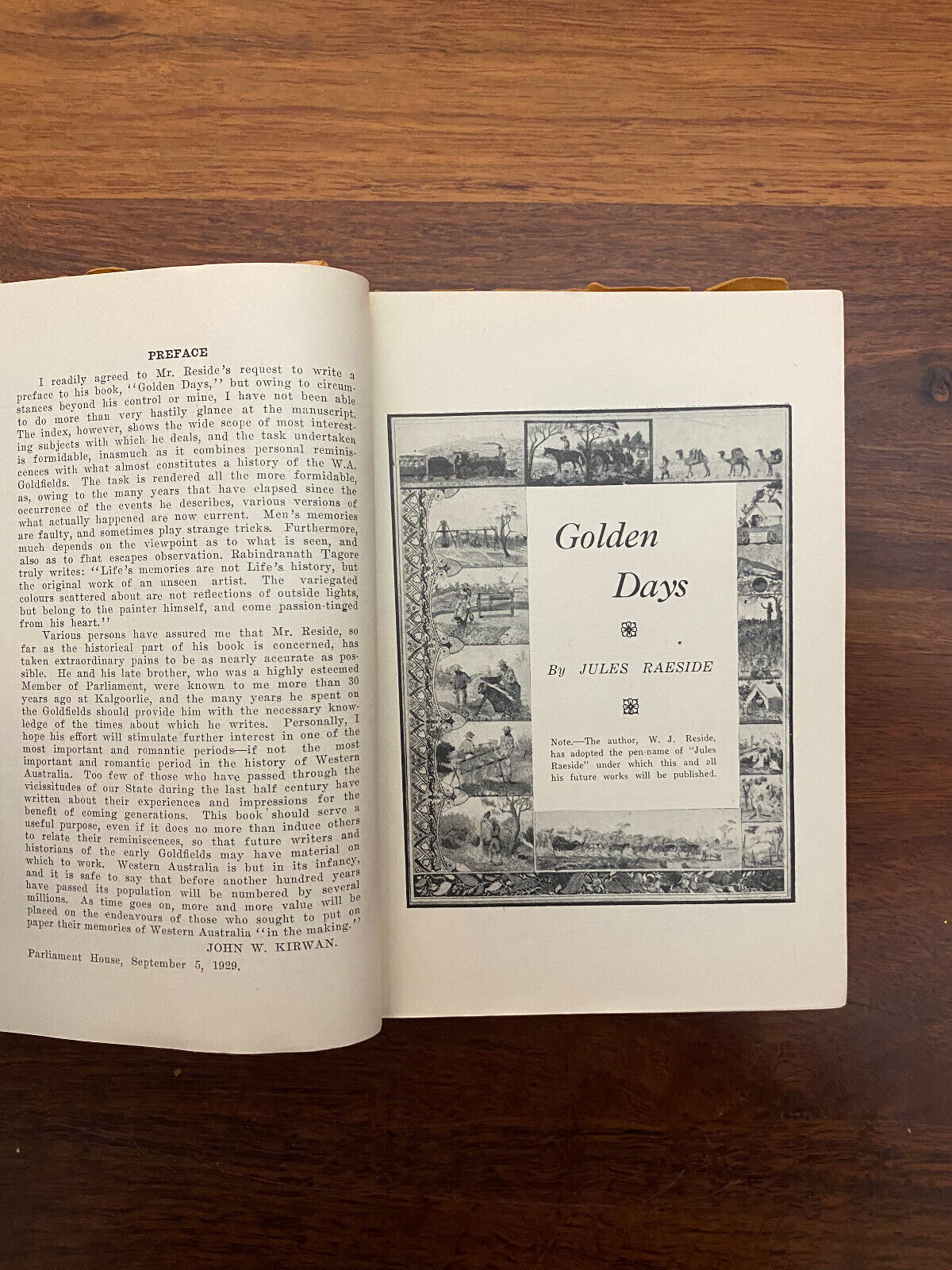 Golden Days by Jules Raeside (Softcover, 1929)