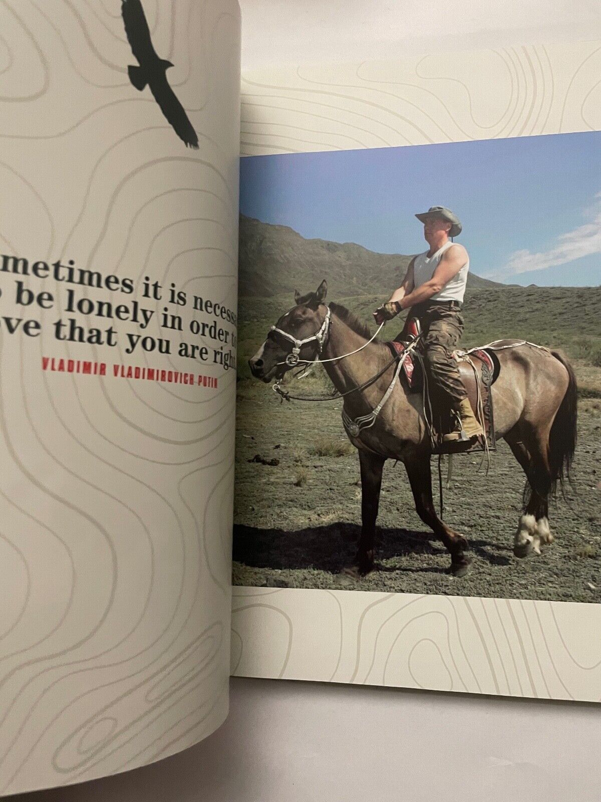 Putin: A Man's Manual of Manliness by Rainshed, Edward