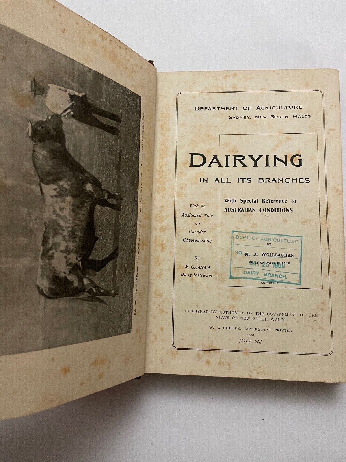 Dairying in All Its Branches; With Special Reference to Australian Conditions by