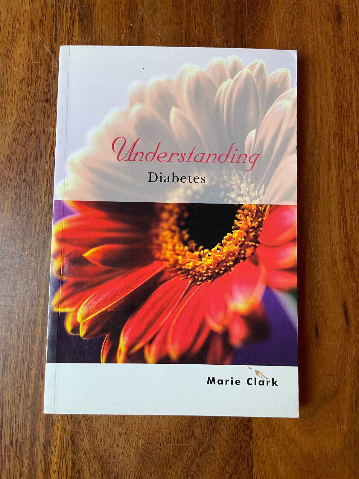 Understanding Diabetes (Understanding Illness & Health) by Marie Clark