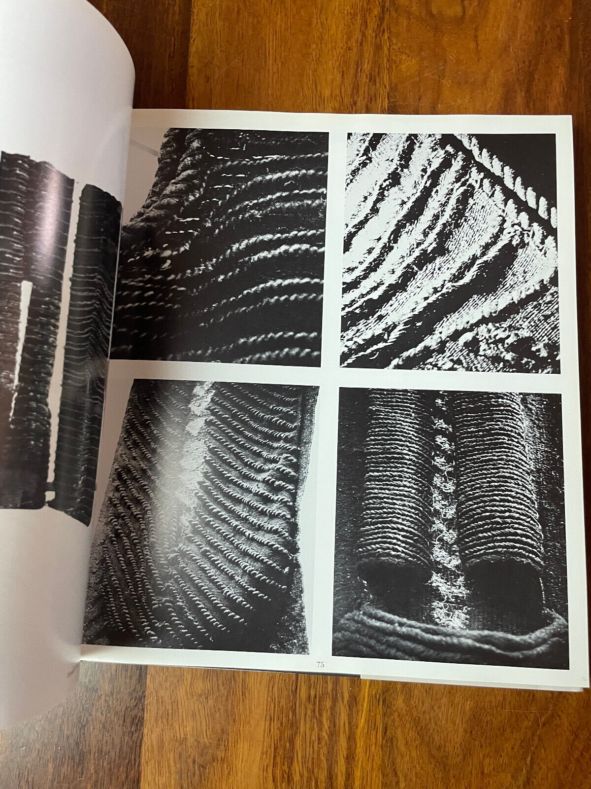 Jagoda Buic by Zoran Krzisnik (Hardcover, 1988)