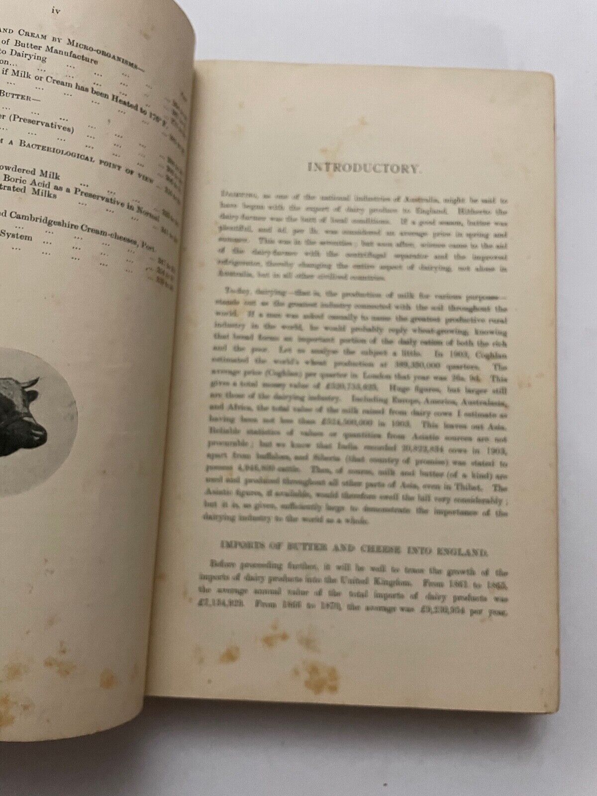 Dairying in All Its Branches; With Special Reference to Australian Conditions by