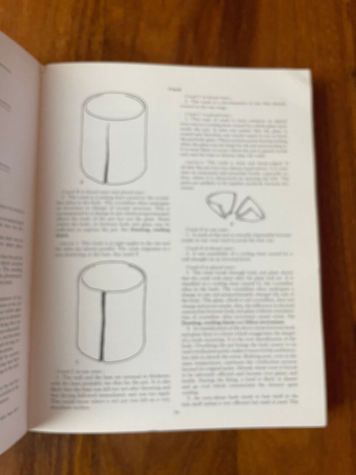 The Potter's Dictionary of Materials and Techniques by Frank Hamer