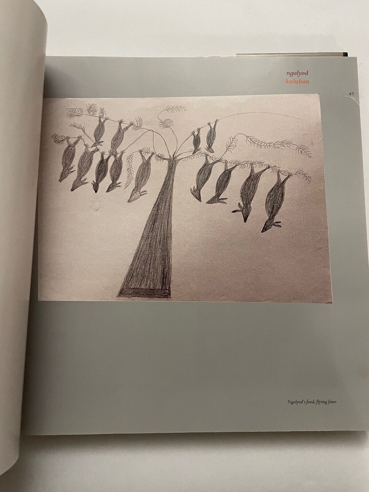 Kunwinjku Spirit: Creation Stories from Western Arnhem Land: (Nawakadj Nganjmirr