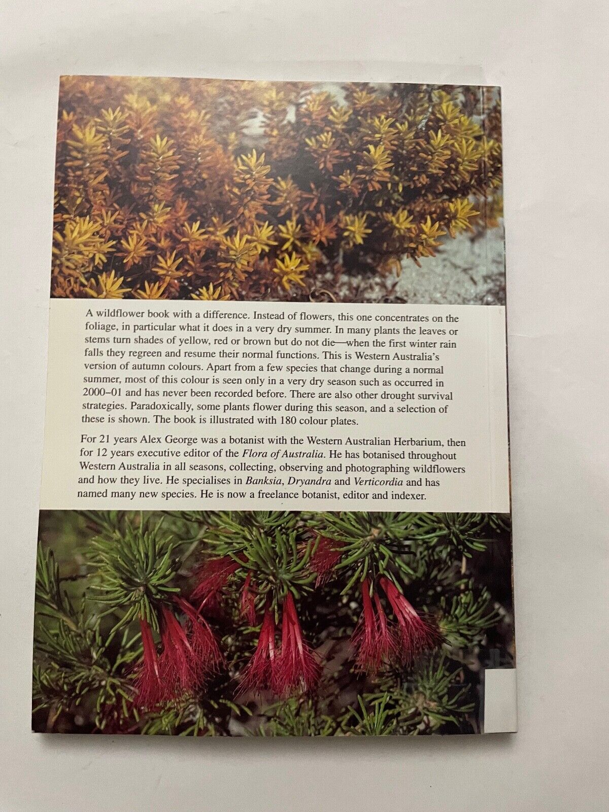 The Long Dry: Bush Colours of Summer & Autumn in South-western Australia