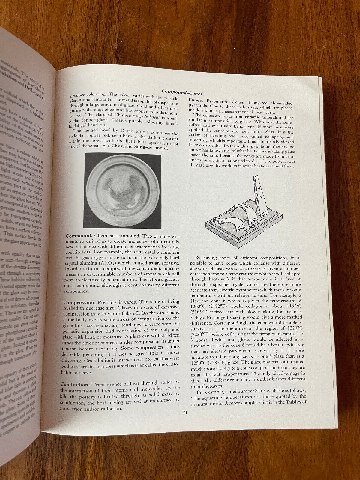 The Potter's Dictionary of Materials and Techniques by Frank Hamer