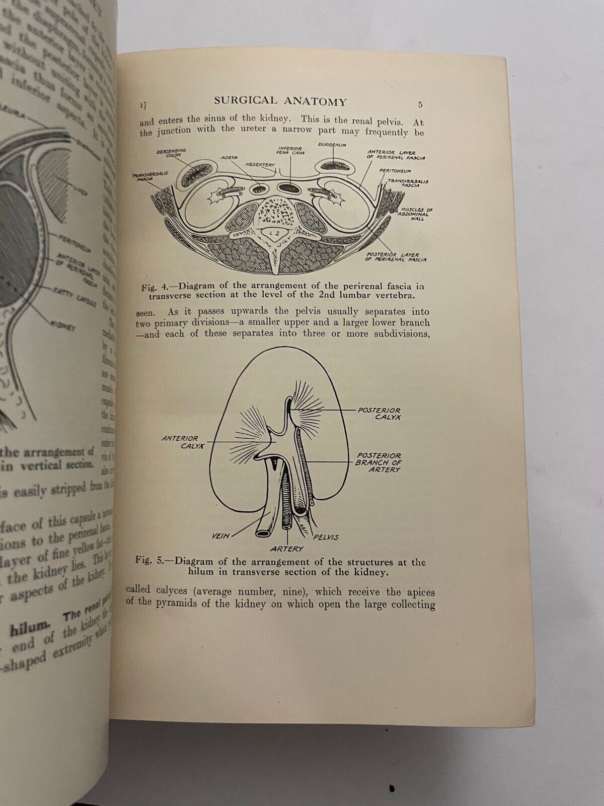 Surgical Diseases and Injuries of the Genito-Urinary Organs by J Thomson-Walker