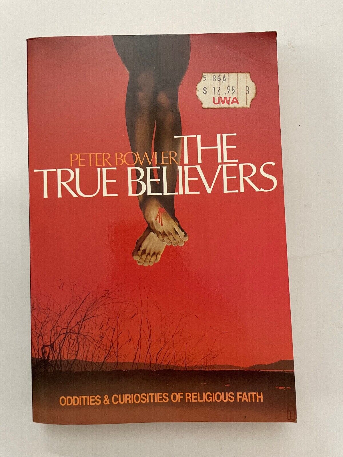 The True Believers: Oddities and Curiosities of Religious Faith by Peter Bowler