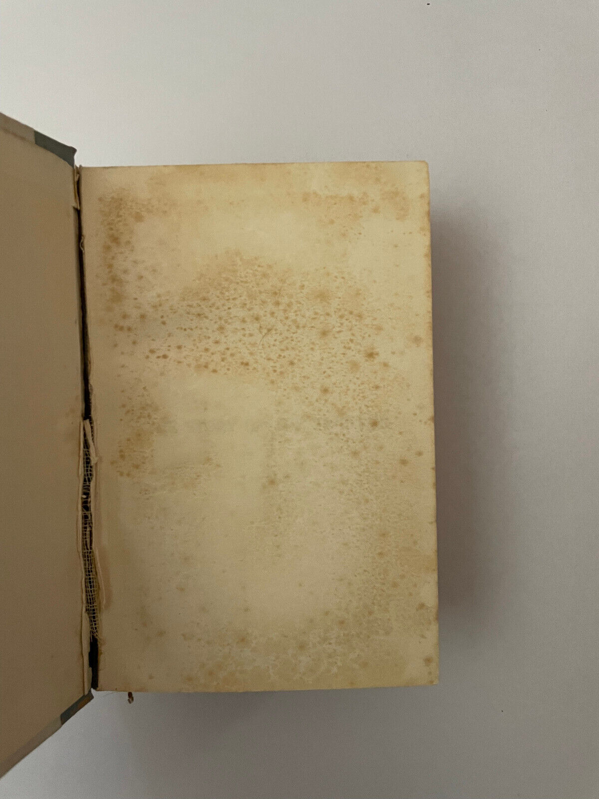 The story of the twelfth: A Record of the 12th Battalion AIF in the great war 19