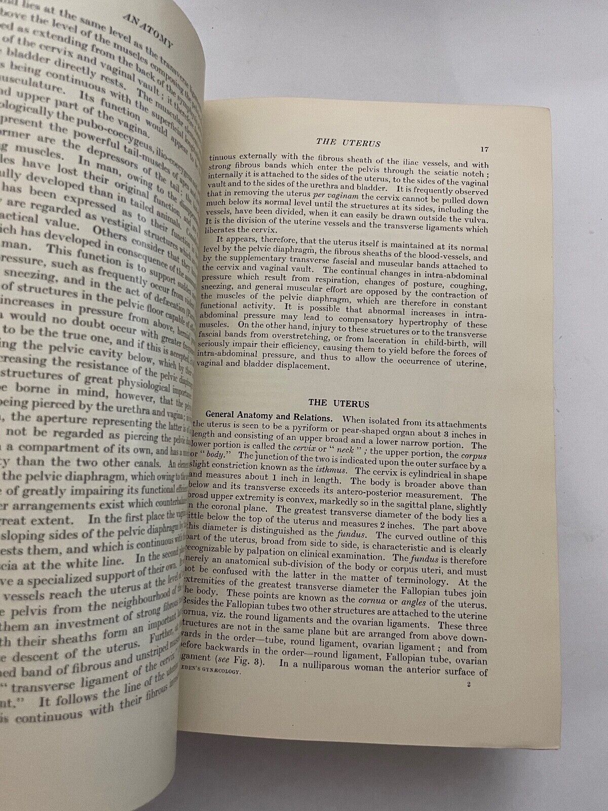 Eden and Lockyer's Gynaecology by Beckwith and Whitehouse