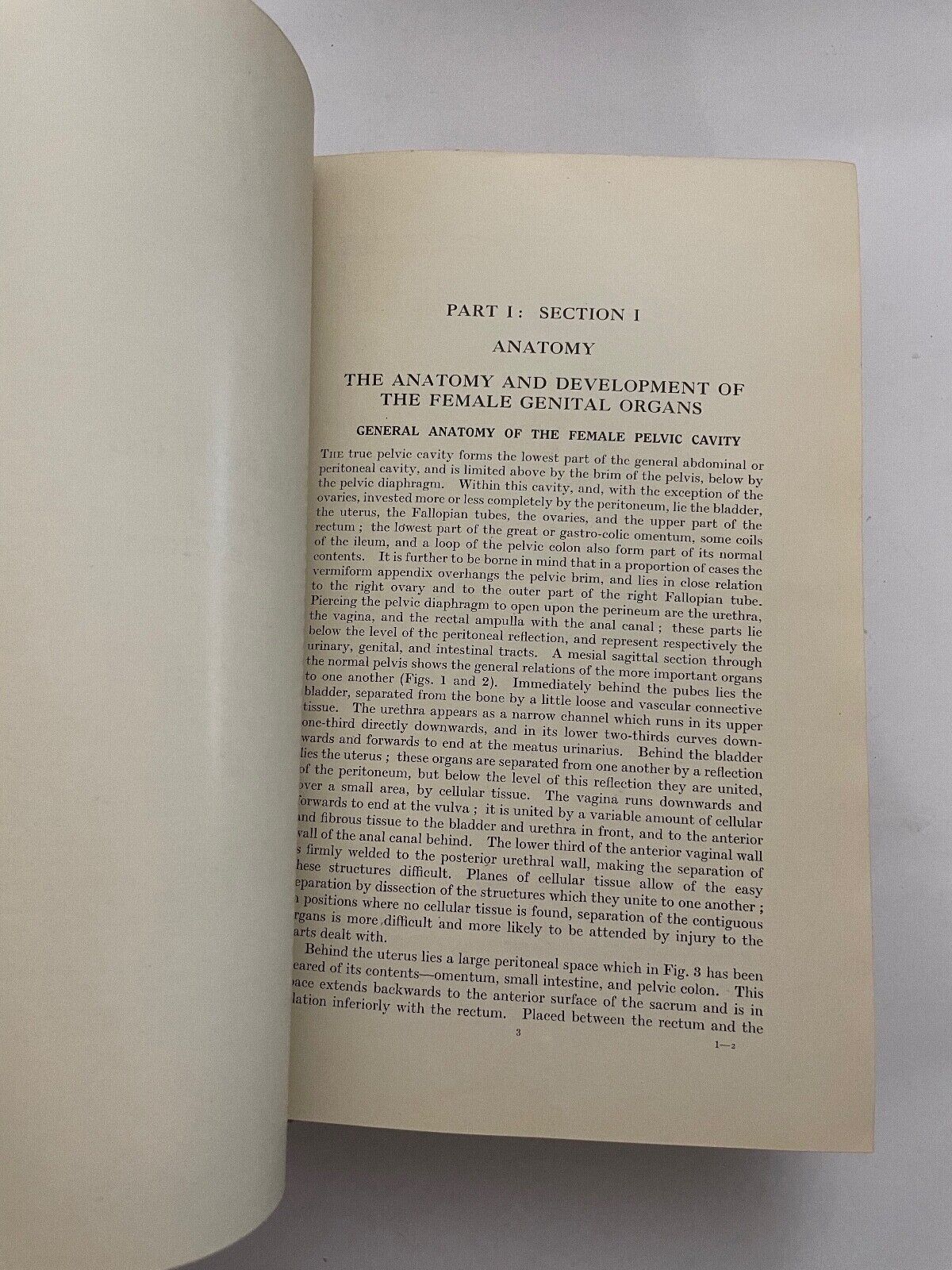 Eden and Lockyer's Gynaecology by Beckwith and Whitehouse