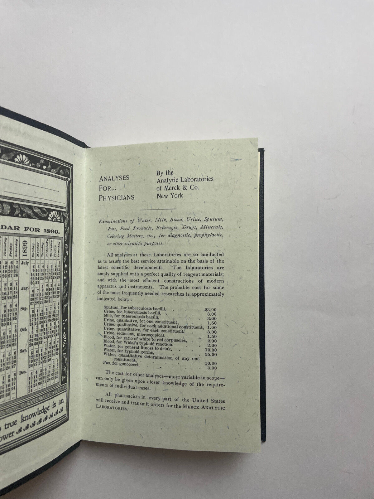 Merck's 1899 Manual A Ready-Reference Pocket Book For The Practicing Physician