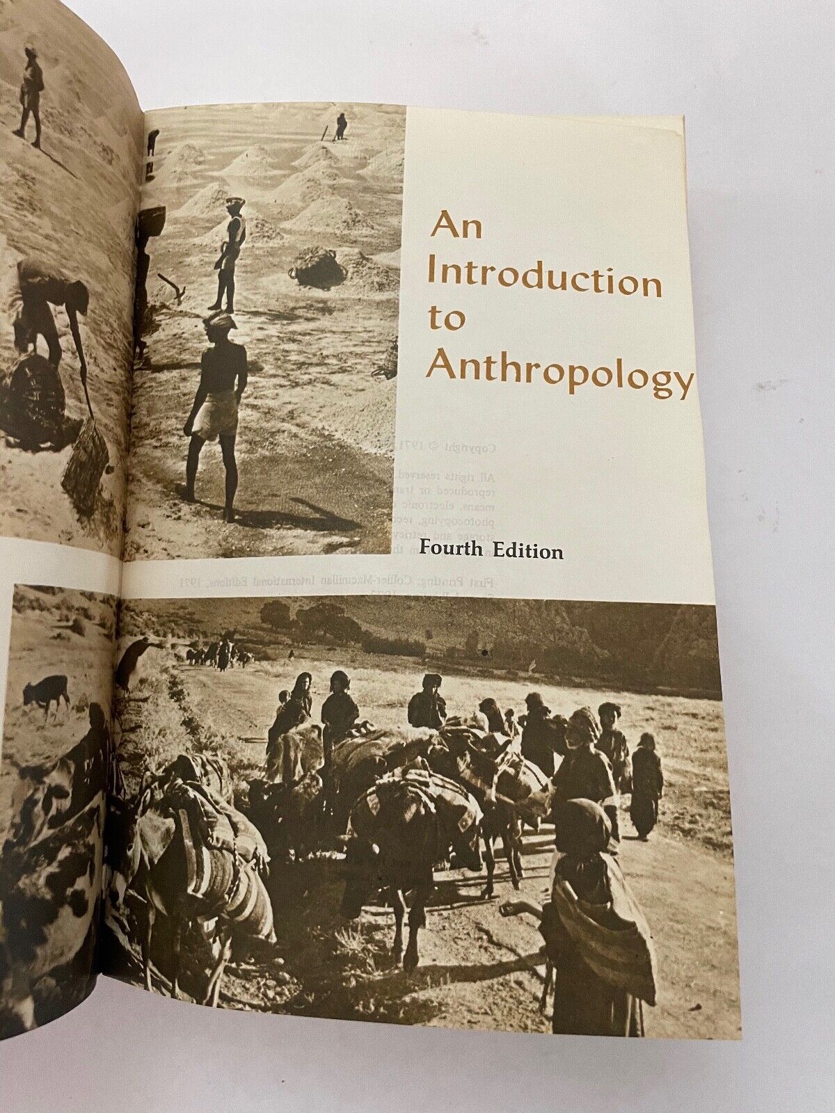 An Introduction to Anthropology