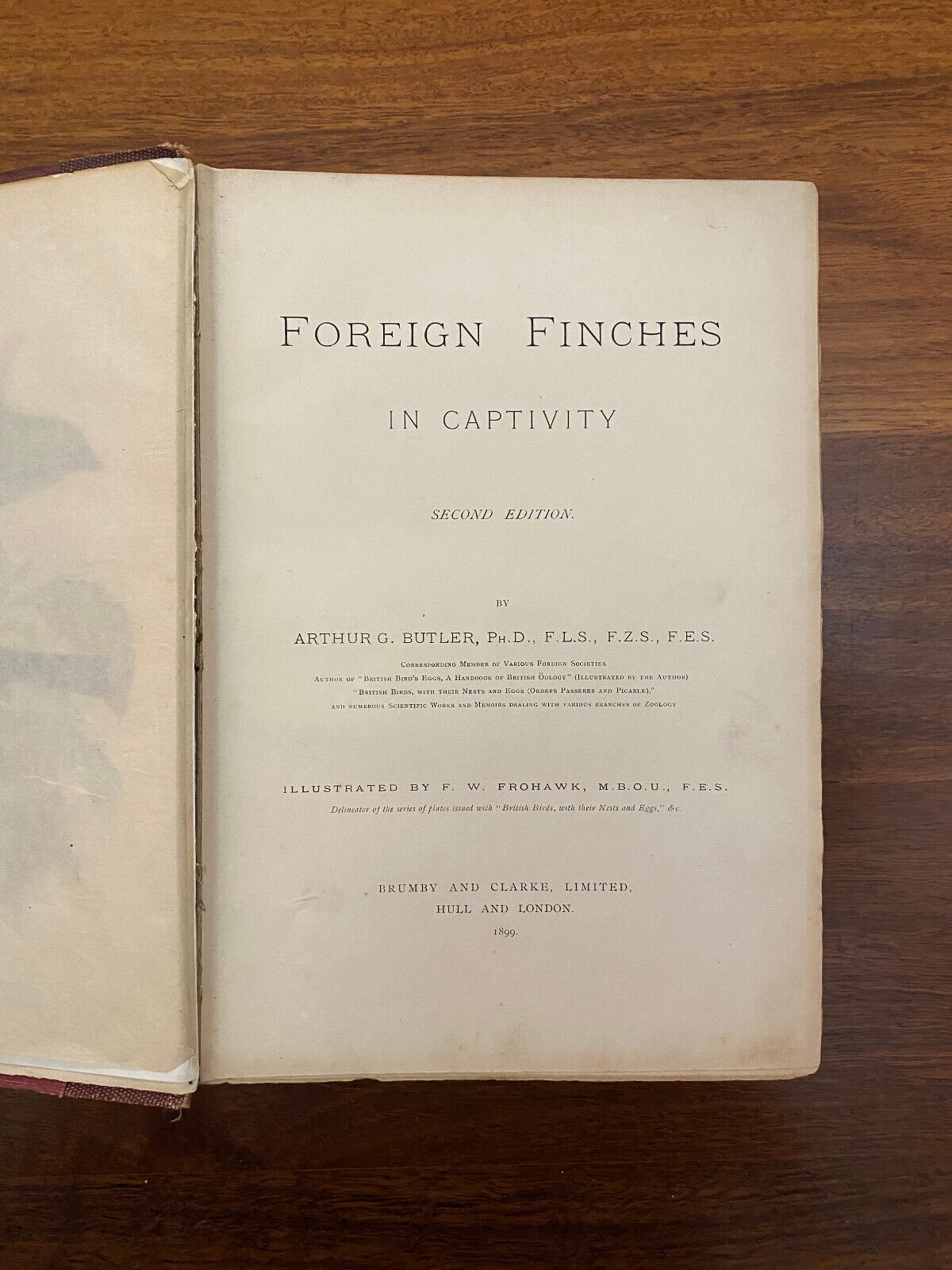 Foreign Finches in Captivity by Butler, Arthur G (Hardcover, 1899) 2nd edition