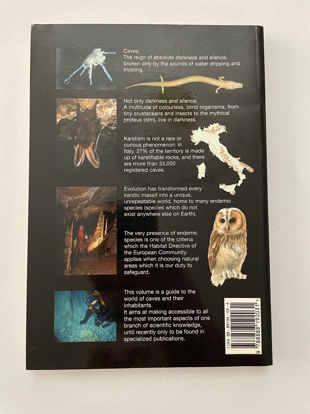 Caves and karstic phenomena. Life in the subterranean world.