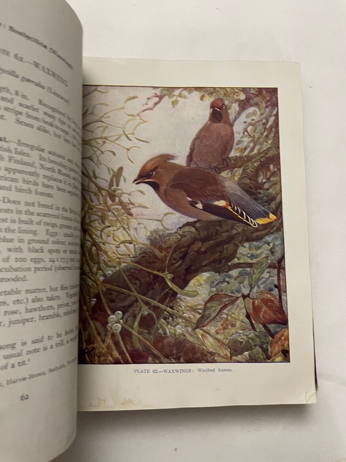 British Birds by F.B. Kirkman and F.C.R. Jourdain (Hardcover, 1944)