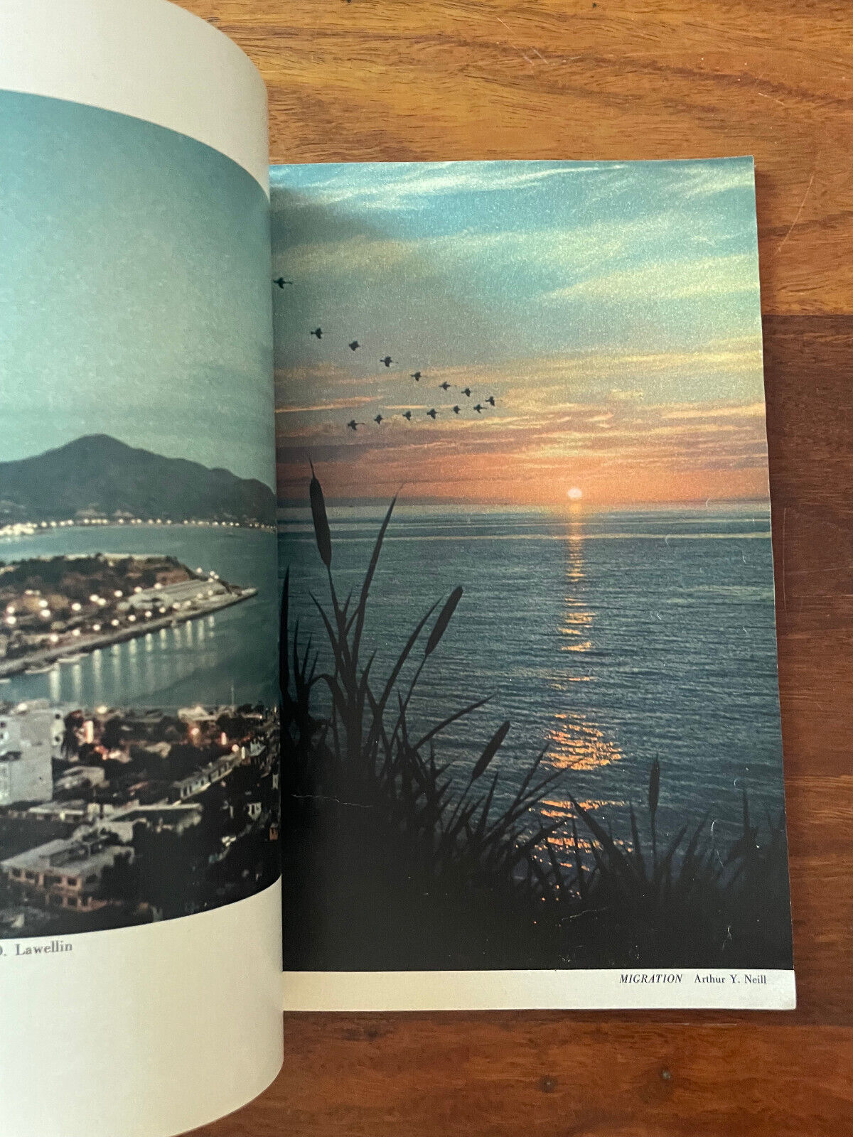 Color Photography Annual 1956 Edition Popular Photography, Film & Camera Tips