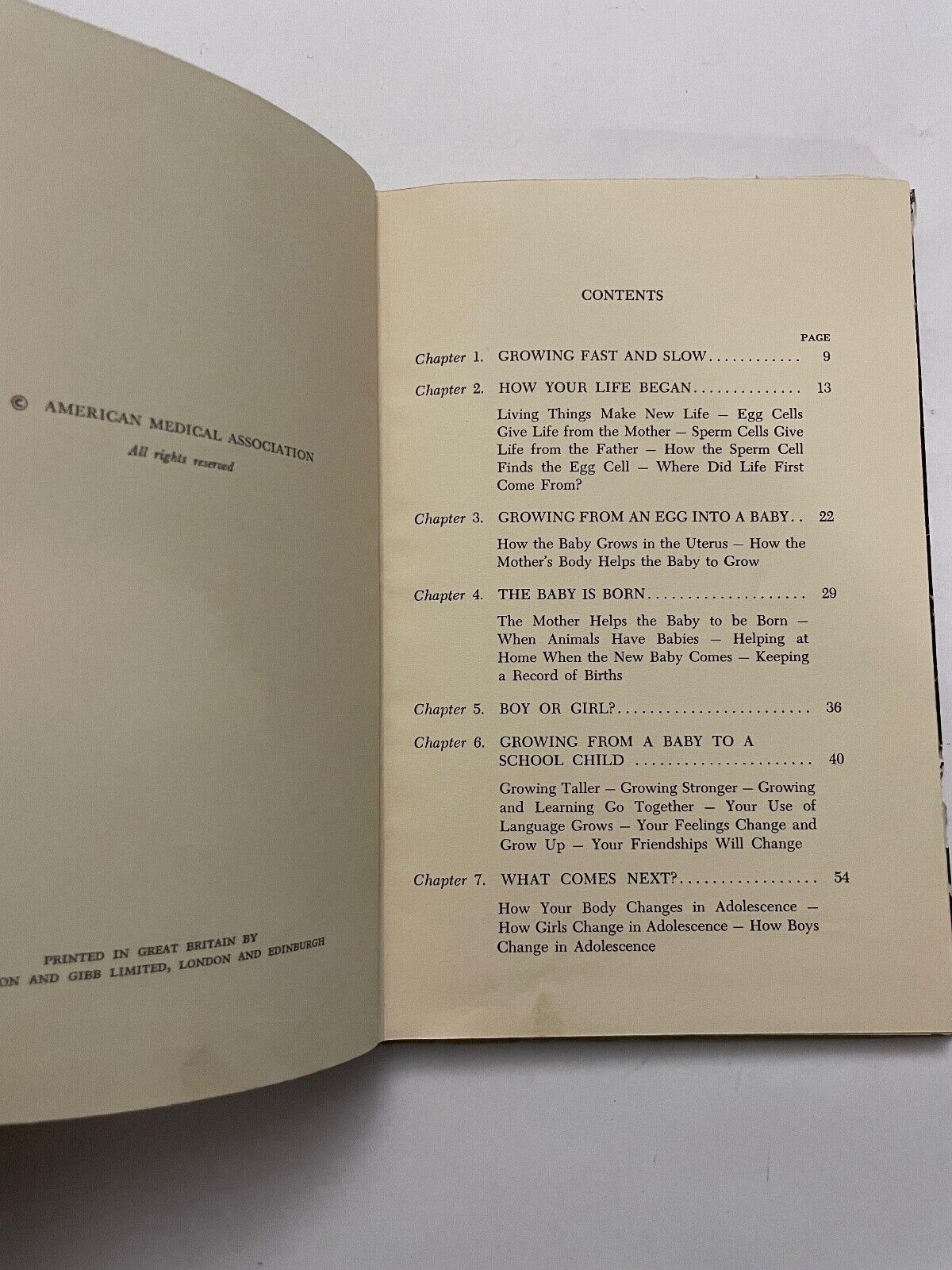 A Story About You by Marion O. Lerrigo (Hardback 1955)