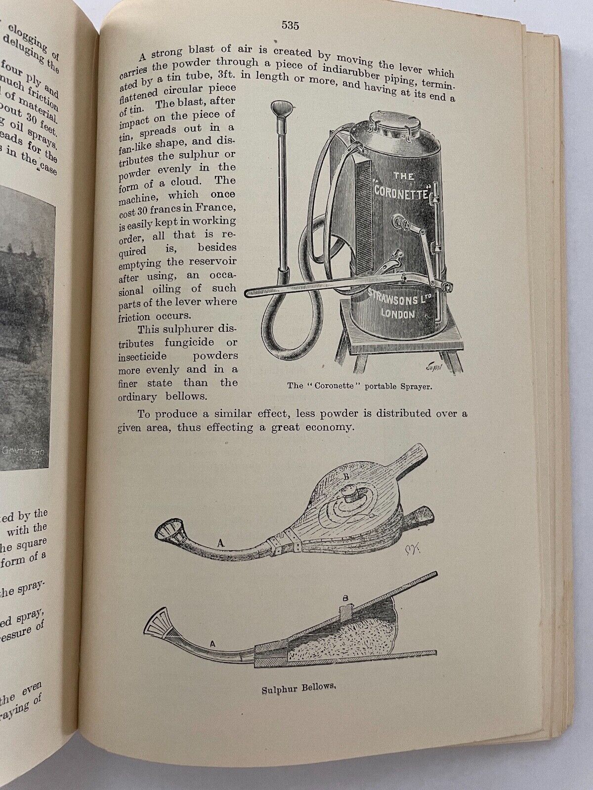 The Handbook of Horticulture & Viticulture of Western Australia by A Despeissis